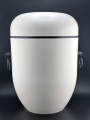 29.png
